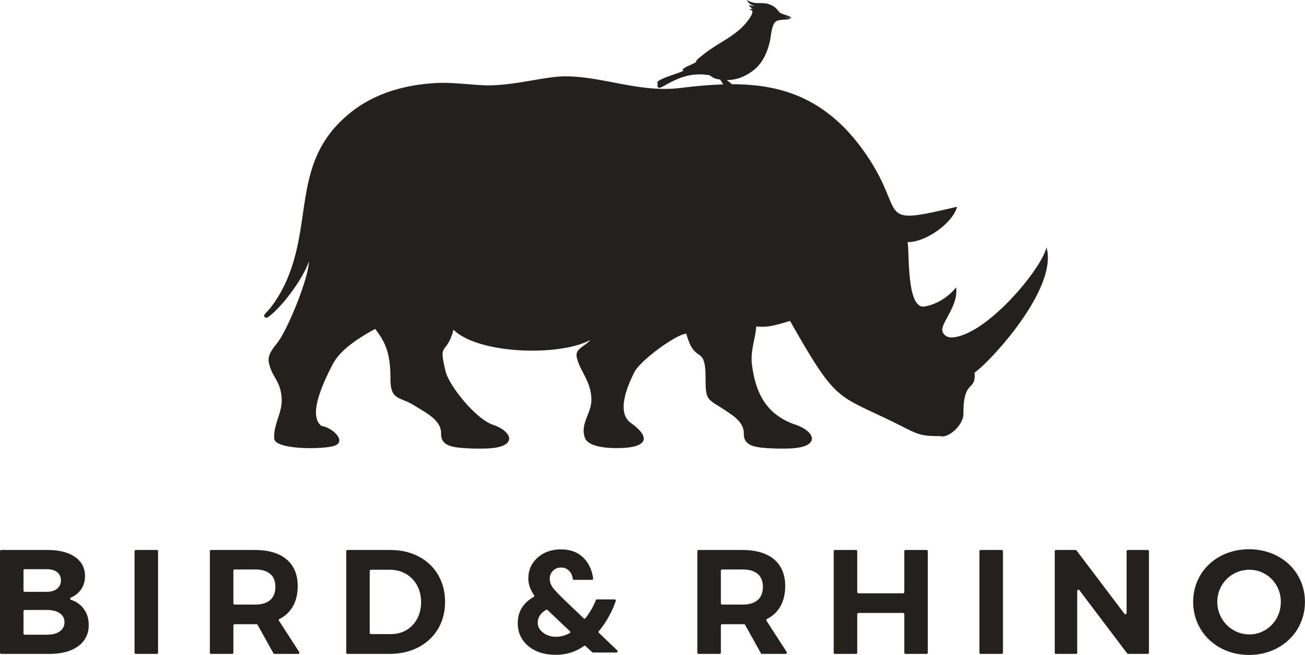 Bird&Rhino-logo